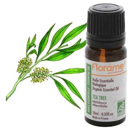 Oli essenziali: il tea tree oil