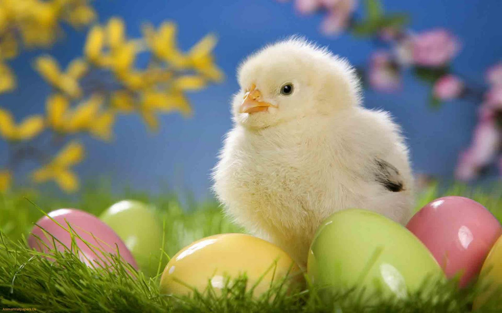 I racconti di Pasqua e le leggende più belle