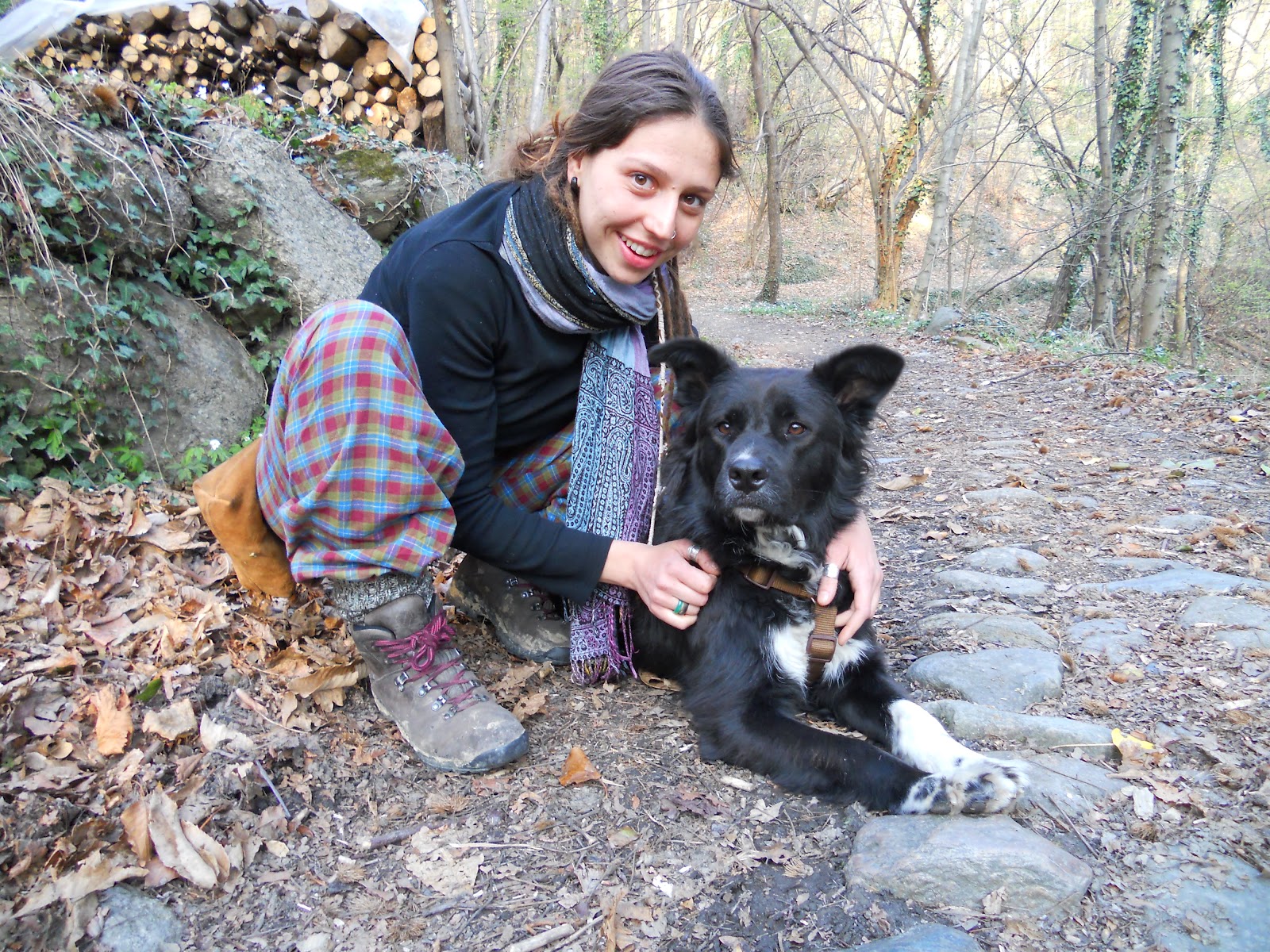 Cani come bodyguard: a Padova parte il corso rivolto alle donne
