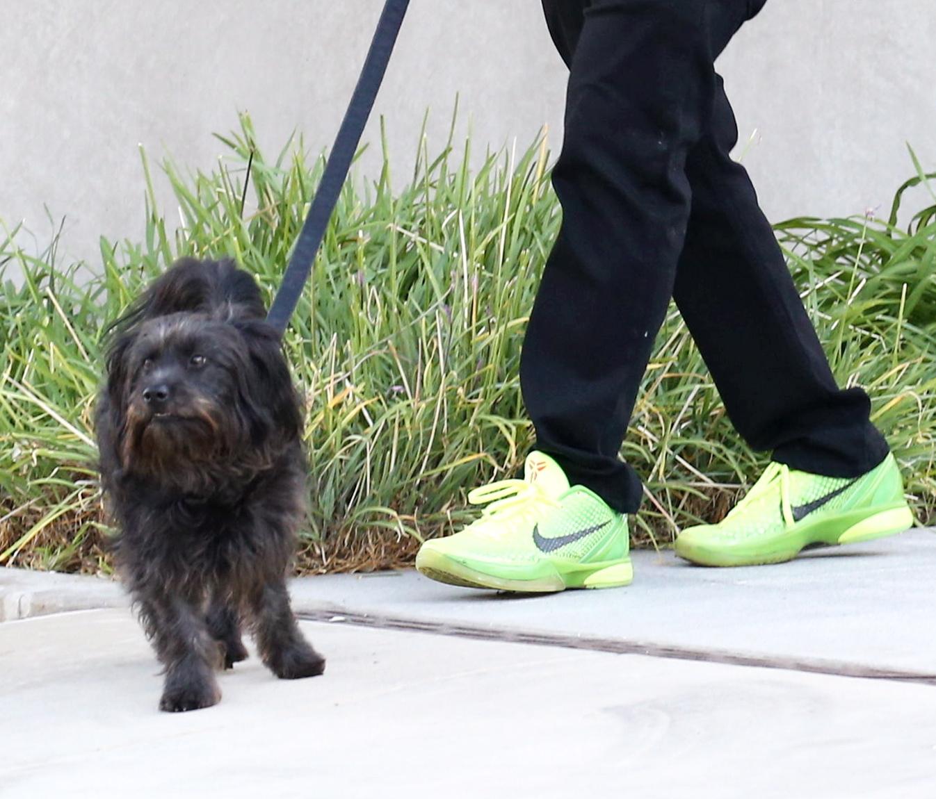 Dustin Hoffman a passeggio con il cane