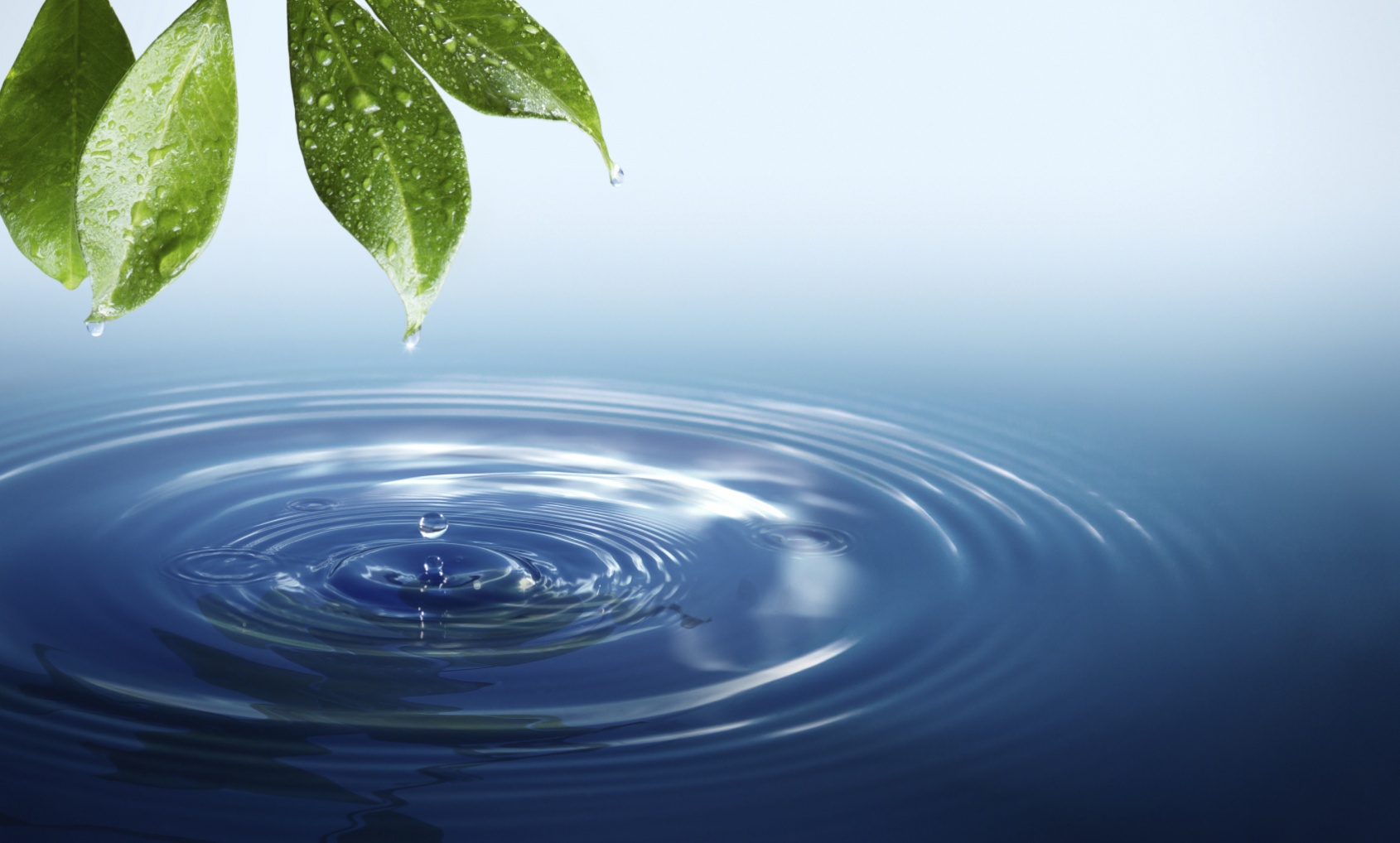 acqua