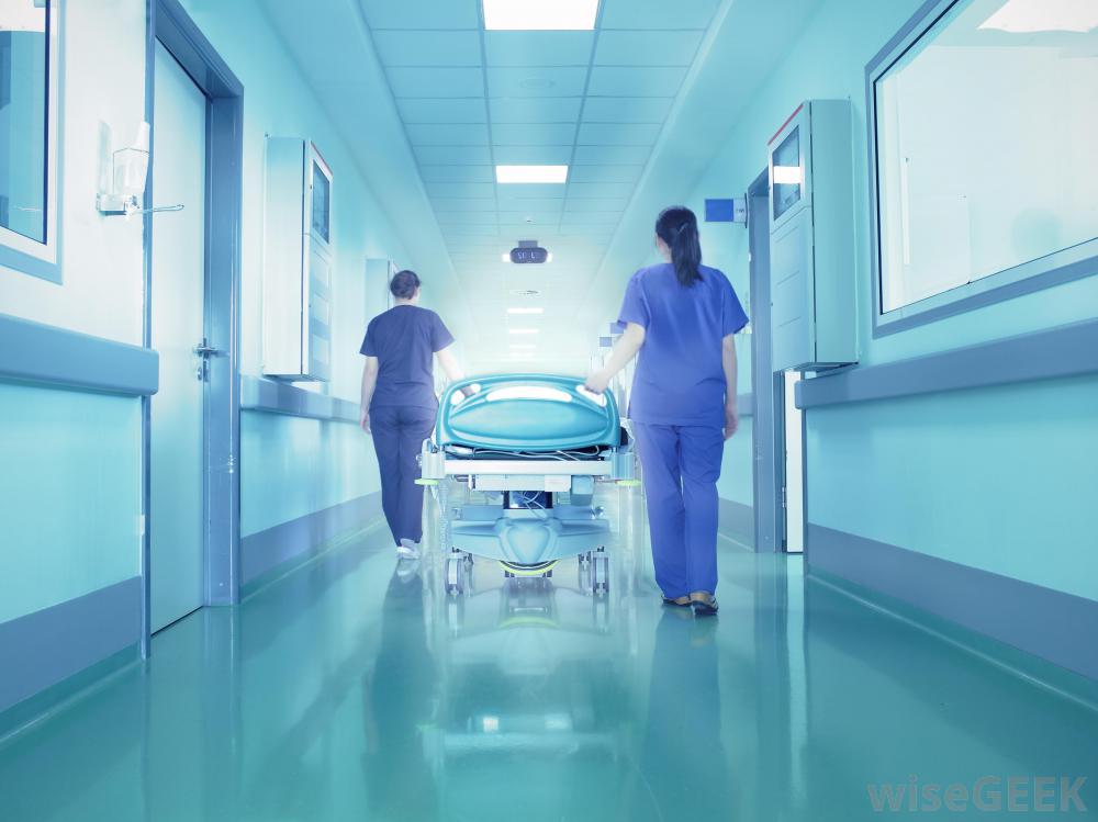 Ferrara, partorisce in casa e nasconde il neonato in freezer