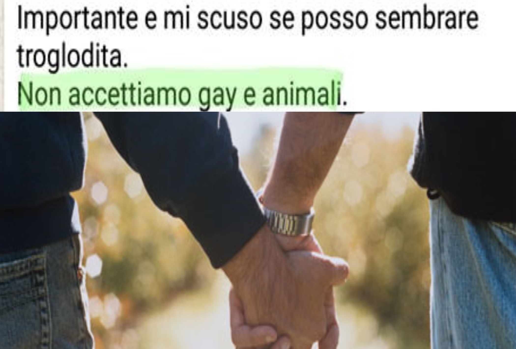Coppia omosessuale respinta da una casa vacanze in Calabria: “Non accettiamo gay e animali”