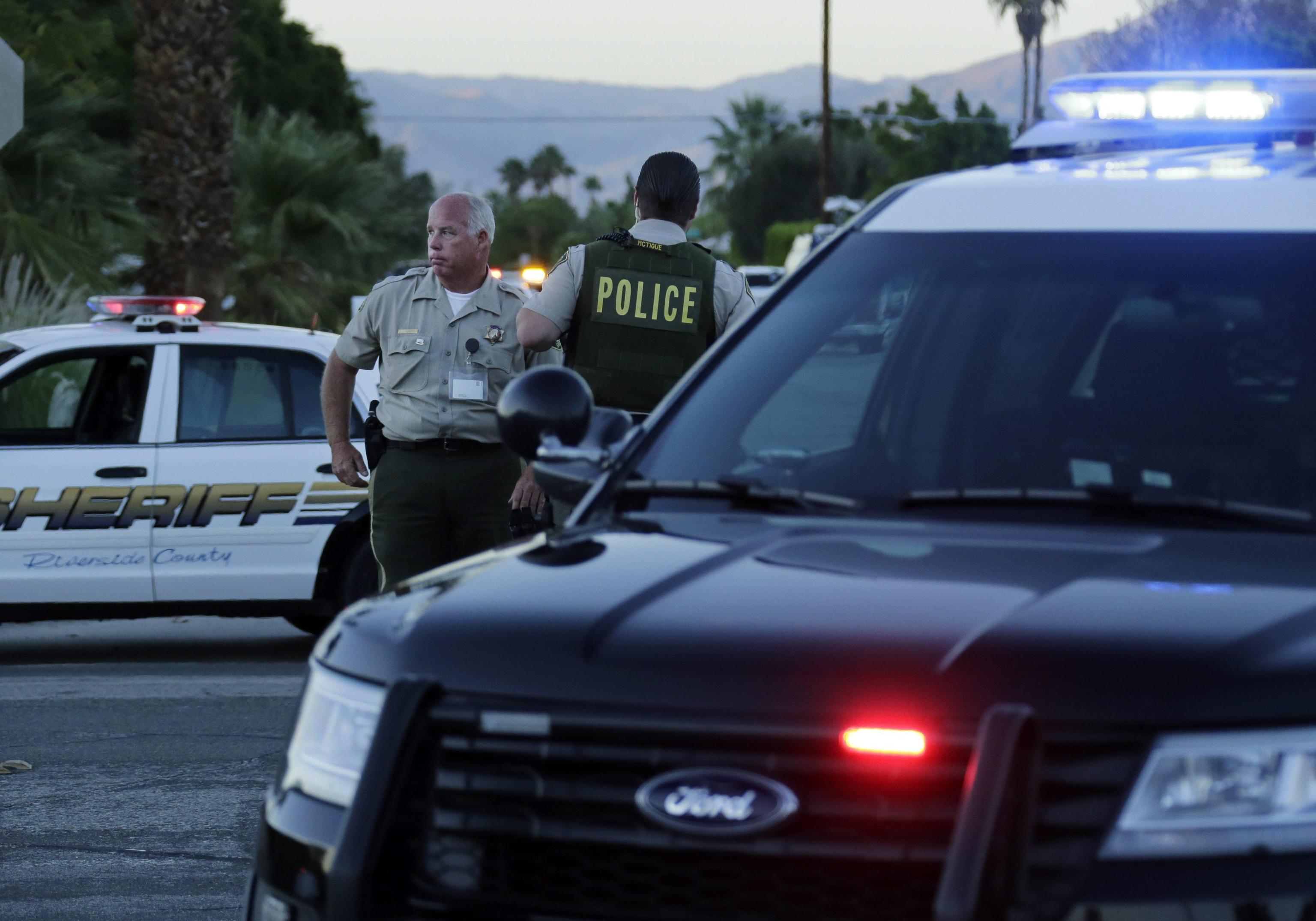 Usa, torturò e uccise 21 gatti: condannato a 16 anni di prigione