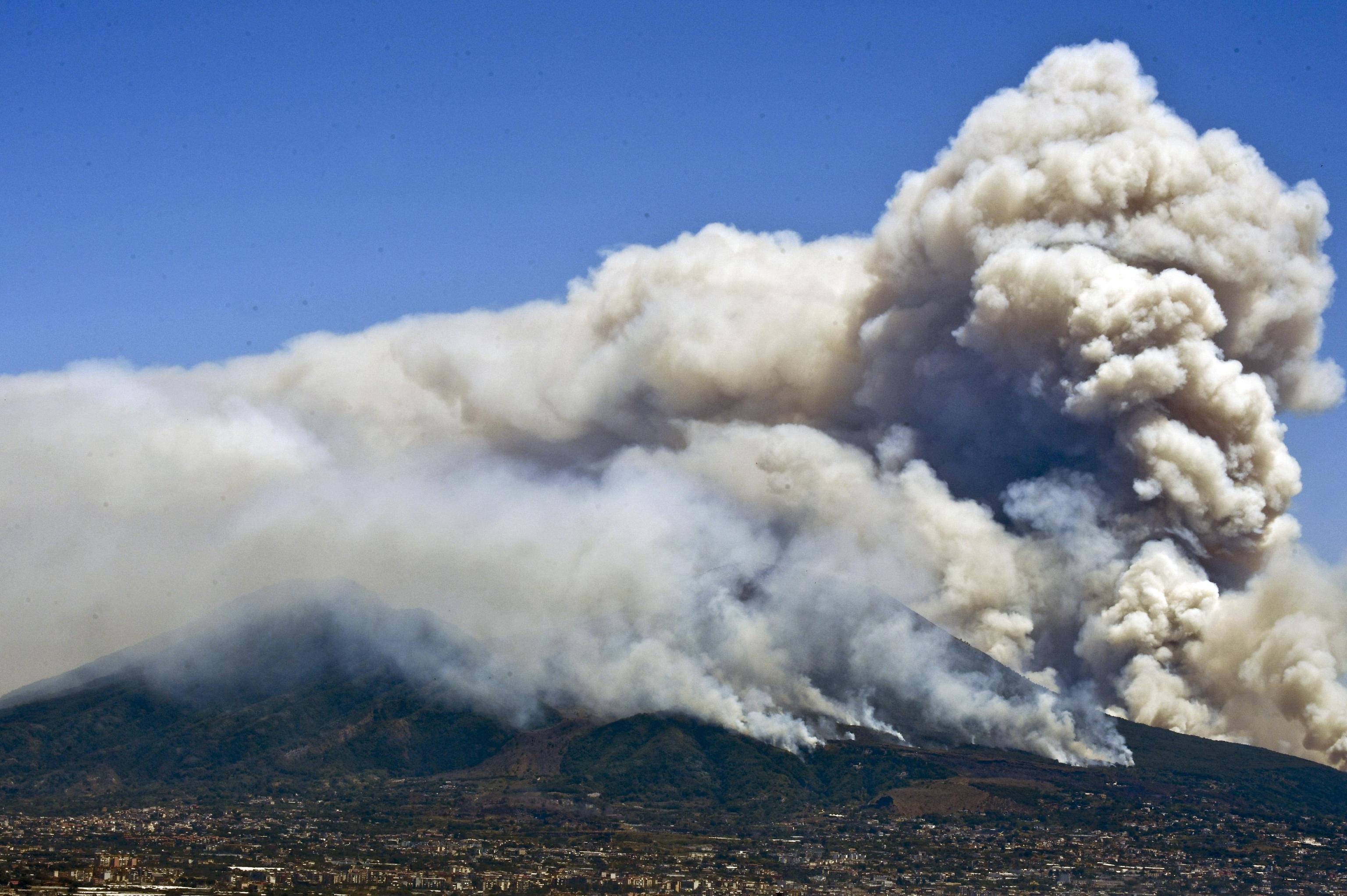 Incendi in Sud Italia, la notizia dei gatti per aumentare le fiamme che fa discutere