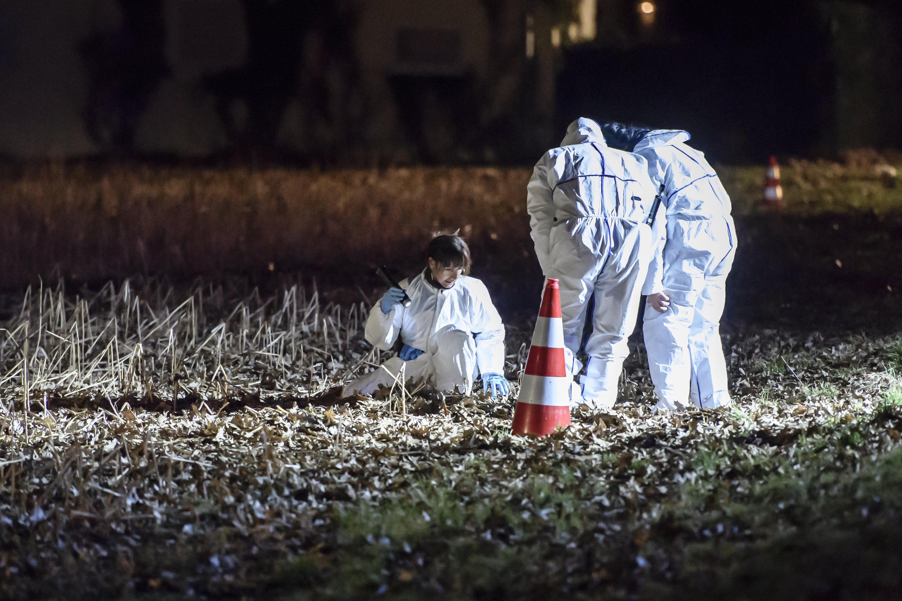 Usa, partorisce e uccide il bambino, poi gli dà fuoco: i resti trovati in giardino