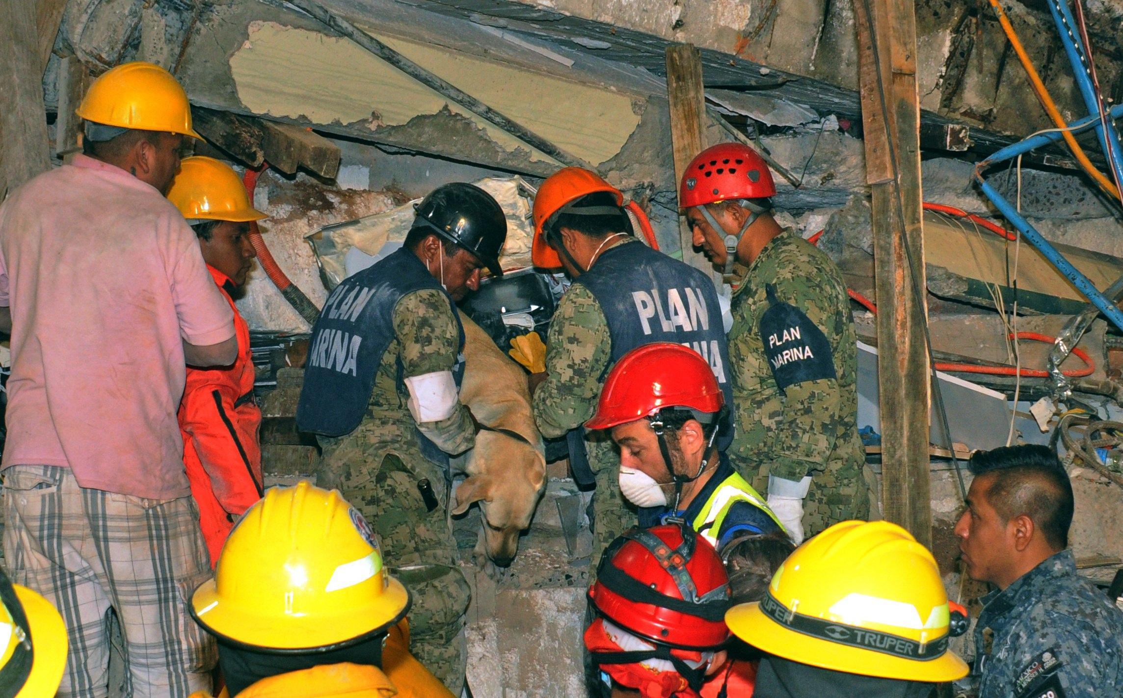 Terremoto in Messico, le vittime, i superstiti e le loro storie