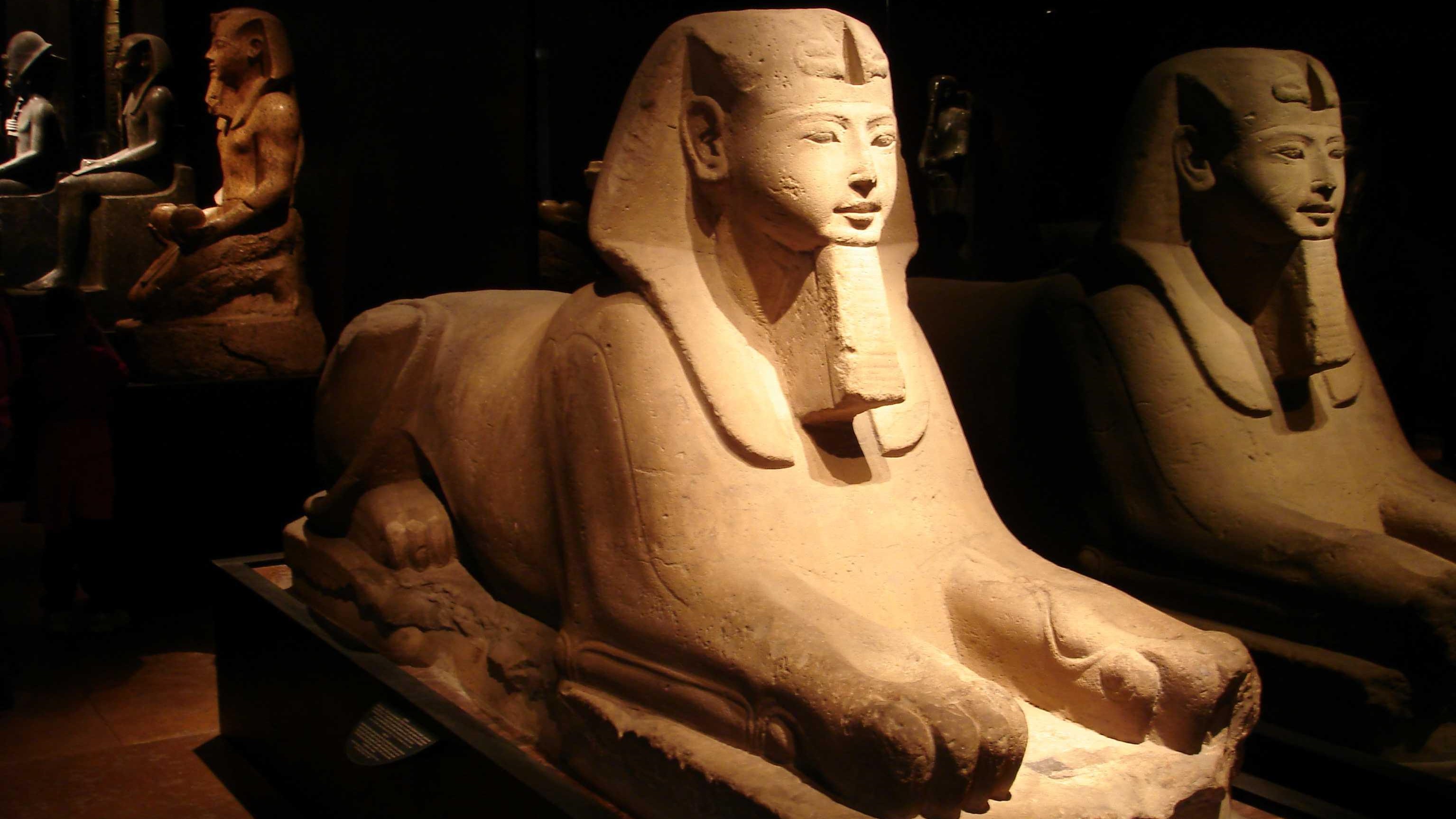 Museo Egizio di Torino, polemica per la promozione: “Se sei arabo paga uno ma entrate in due”