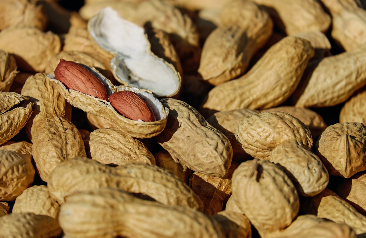 Regno Unito: grave reazione allergica per un bambino di 2 anni per colpa di un pacchetto di noccioline