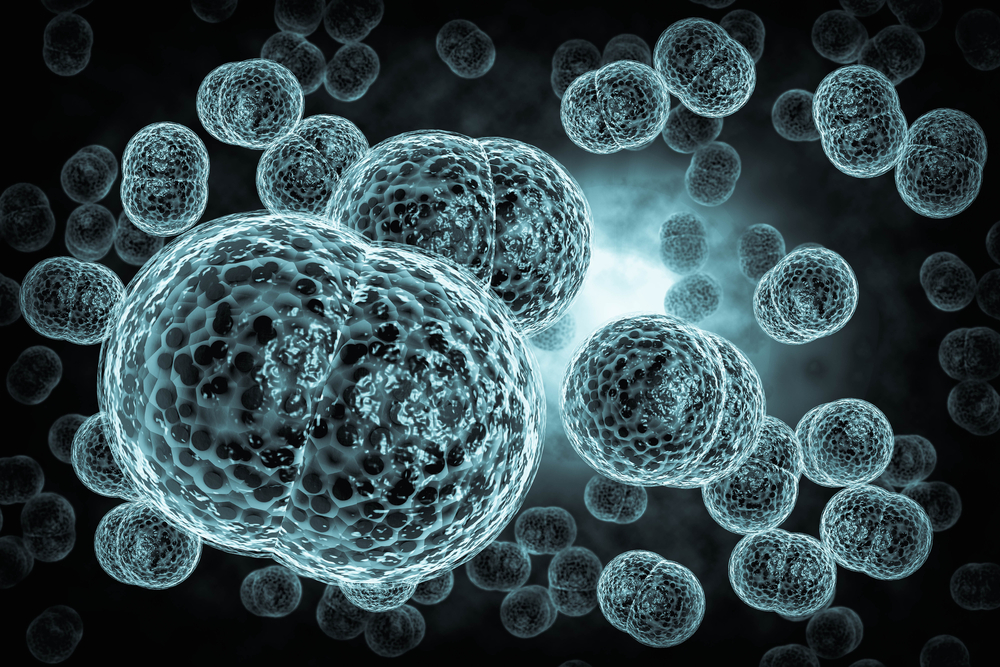meningite batterica