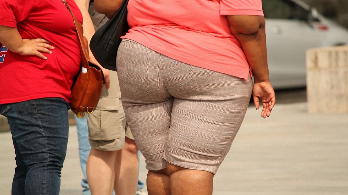 Terapia combinata contro l’obesità: buoni i risultati sui topi