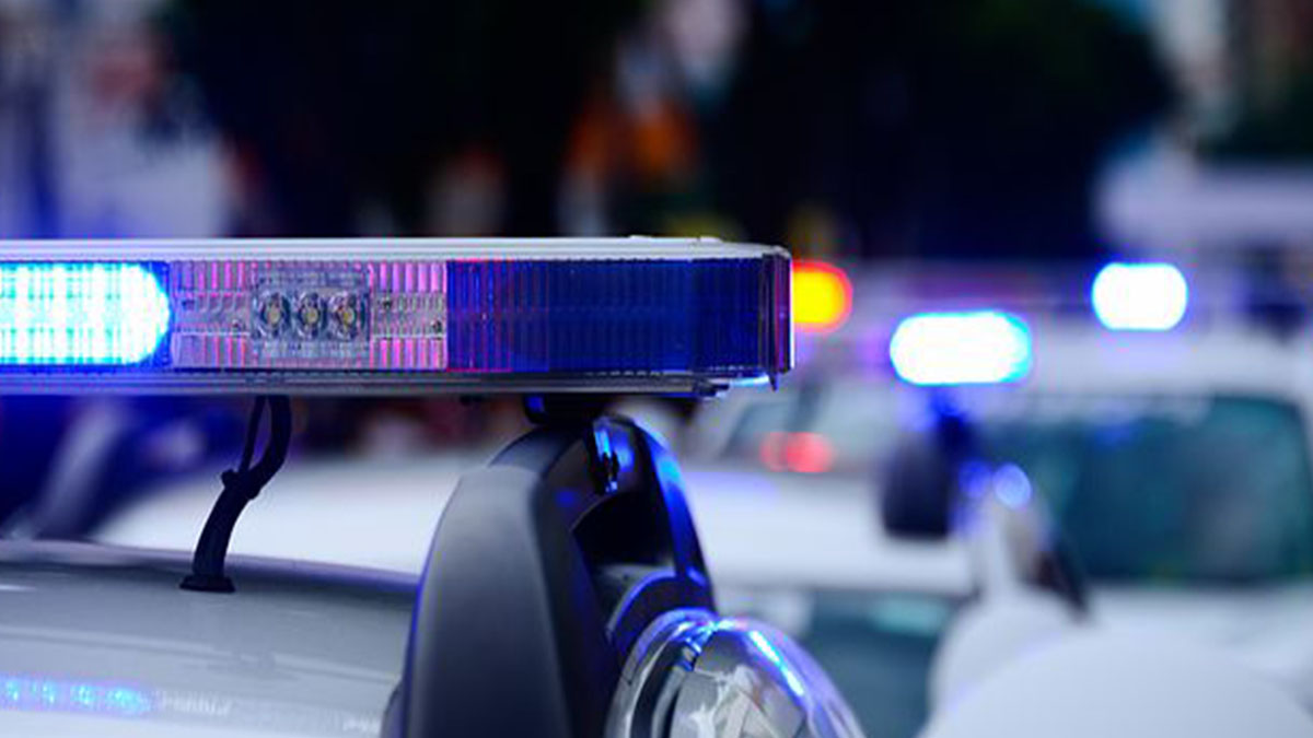 Bimba pugnalata e cotta viva nel forno: arrestata la nonna