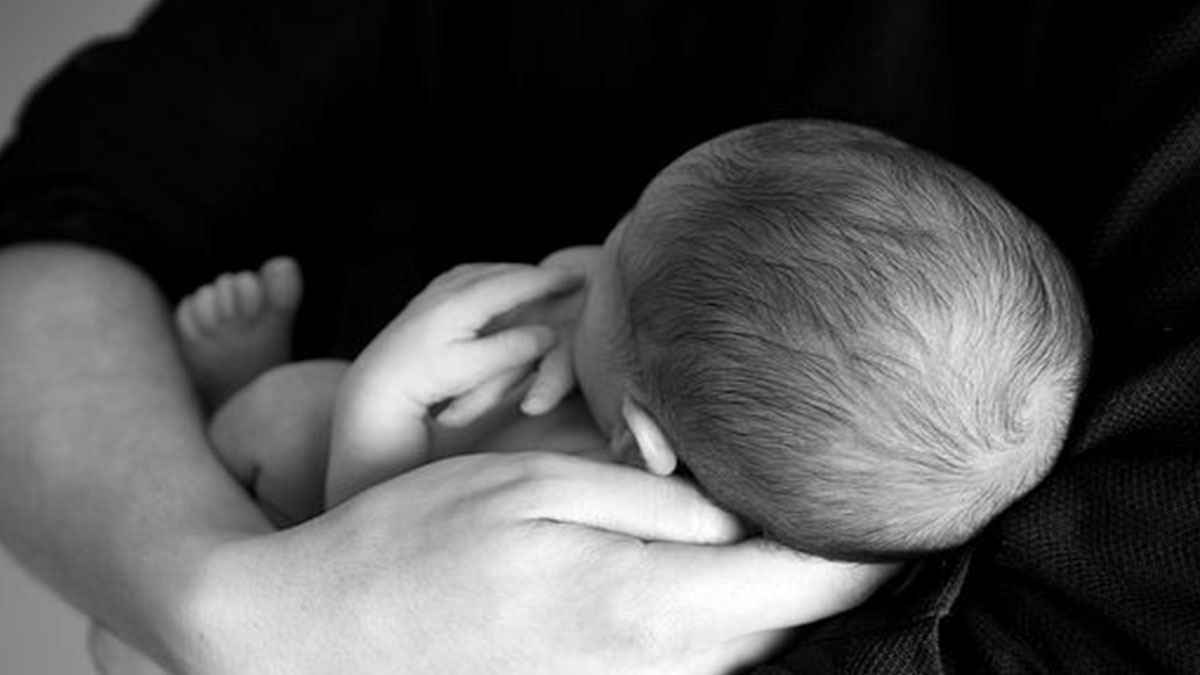 Neonato ucciso da una scimmia: strappato alla madre, trovato morto su un tetto