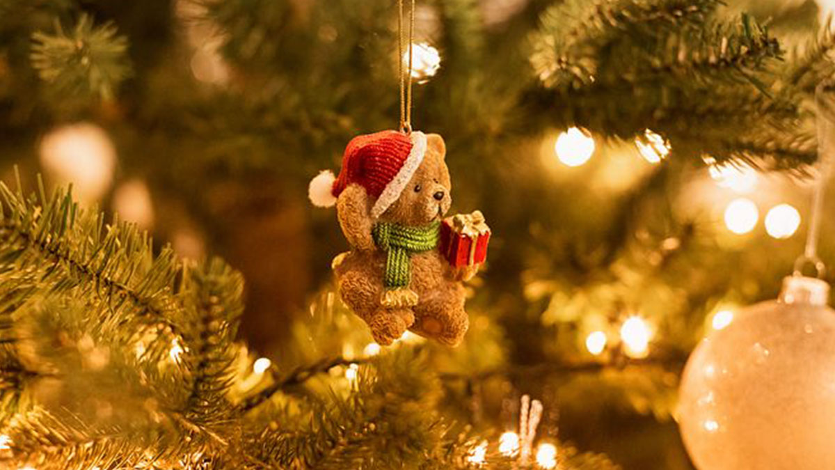 Chiede un rene per il fratello malato a Babbo Natale: la lettera commovente di una bimba