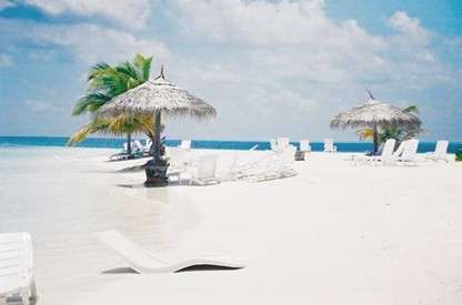 Paradiso Tropicale