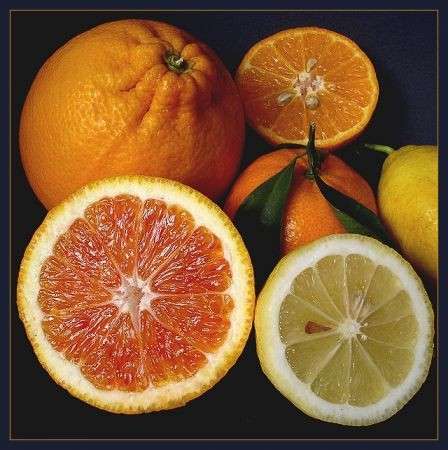 Inverno: i mille benefici della vitamina C