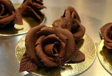 Rose Cioccolato
