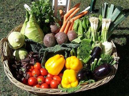 Dieta: le verdure ricche di betacarotene