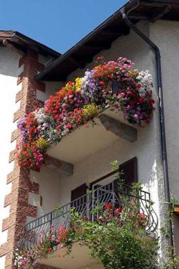 Casa: come creare un giardino sul balcone