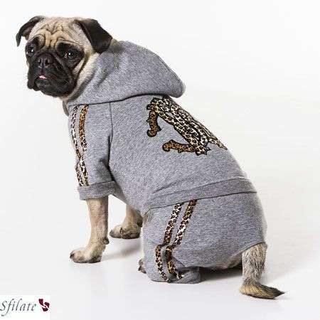 Accessori per animali: Roberto Cavalli Pets