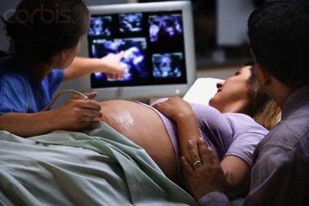 Feto in gravidanza: sviluppo e foto durante il primo trimestre