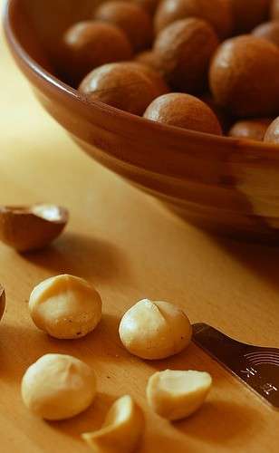 Noci Macadamia, il segreto della longevità