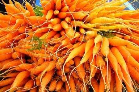 Mazzo di carote