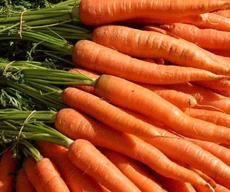 Semina in agosto: le carote e il prezzemolo