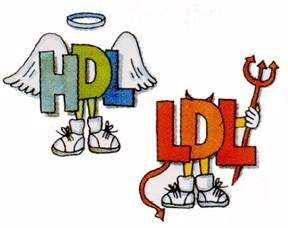 HDL e LDL