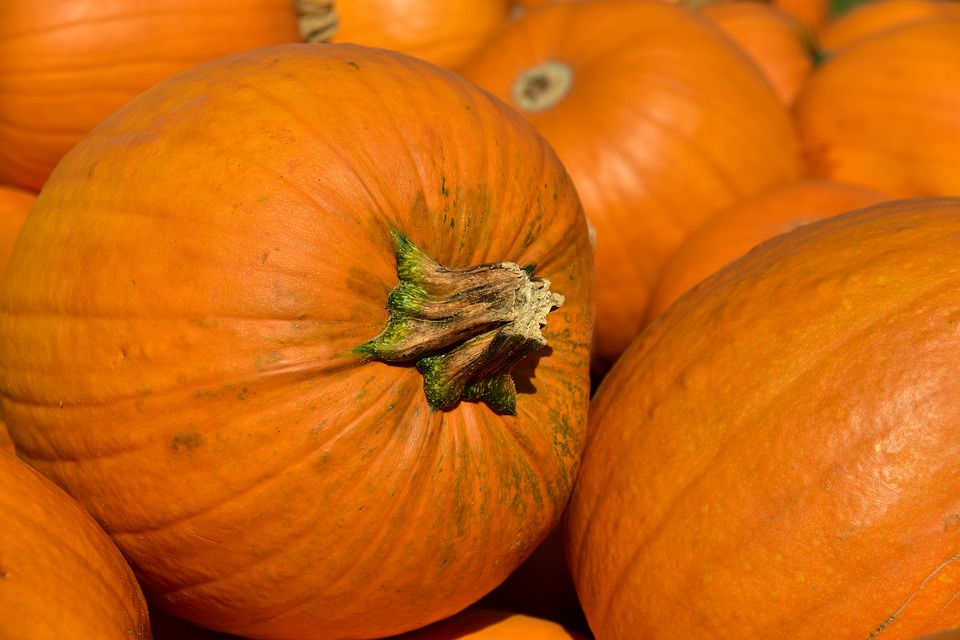 Ricette: zucca al forno