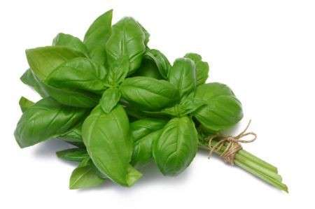 basilco