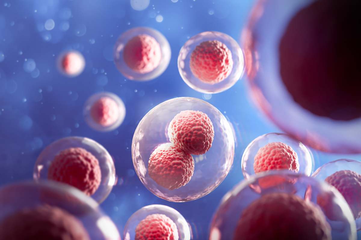 Cellule staminali: cosa sono e a cosa servono