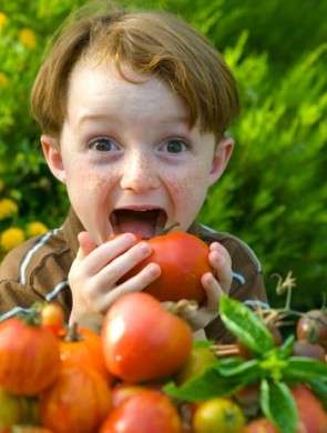 Verdure: pomodoro re della dieta invernale