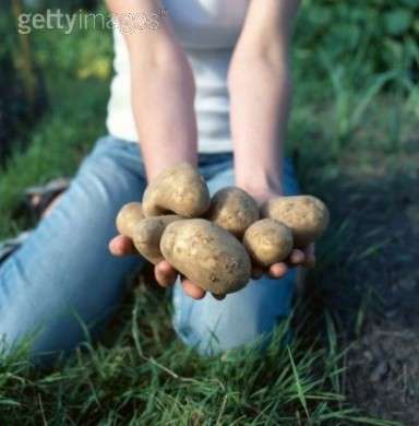 La dieta delle patate