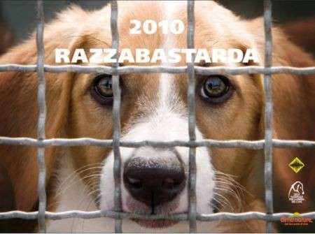 Calendario 2010 “Razza Bastarda” di Oliviero Toscani