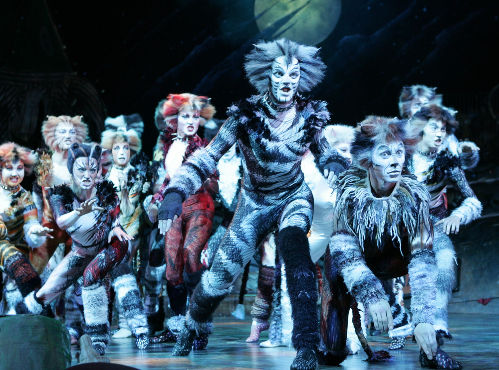 Cats Milano: il musical al teatro Allianz