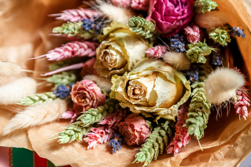 Fiori secchi