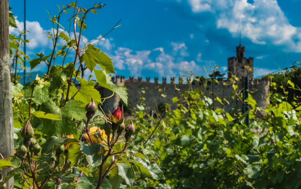 Viaggi: itinerari in bici in Franciacorta