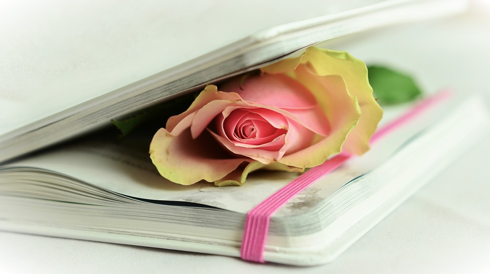 libro con poesie e con una rosa
