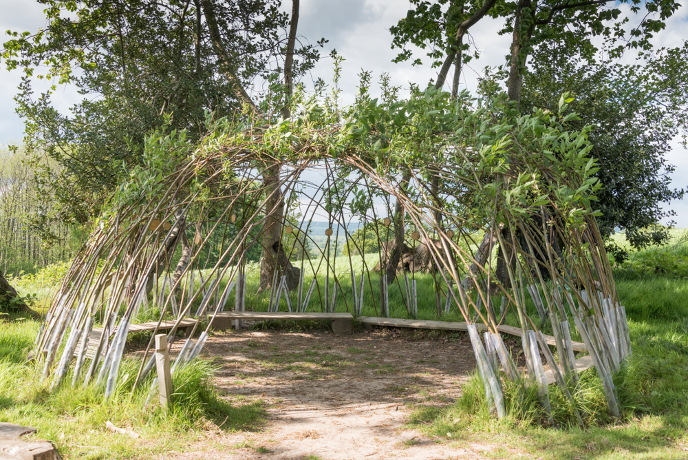 Decorare il giardino col salice vivente