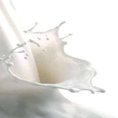 Meglio il latte biologico o quello convenzionale?