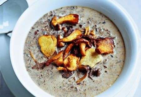 Crema funghi selvatici