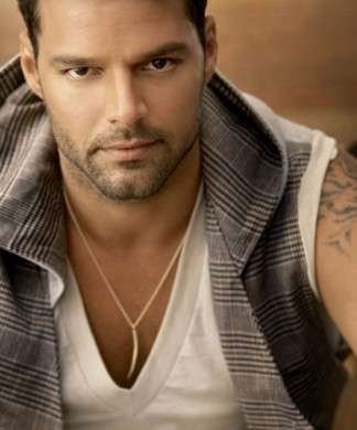 Ricky Martin gay