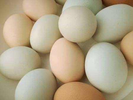 Cucina: conoscere le uova