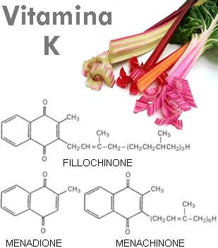 Vitamina K: riduce il rischio di cancro