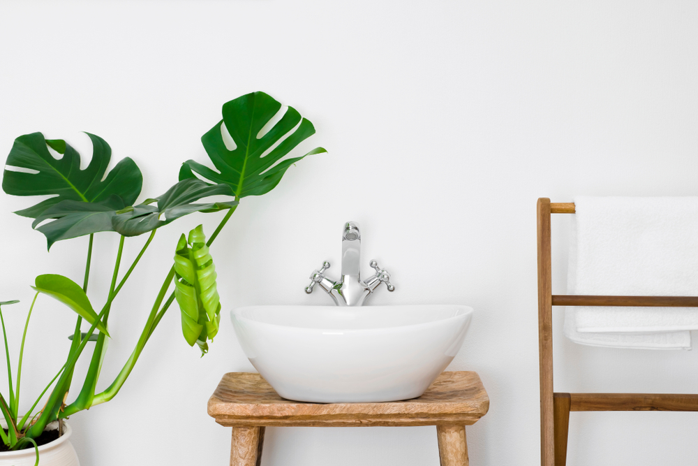 Pianta bagno