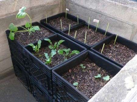 Riciclo creativo: le casse del latte diventano Air-Pot da giardino