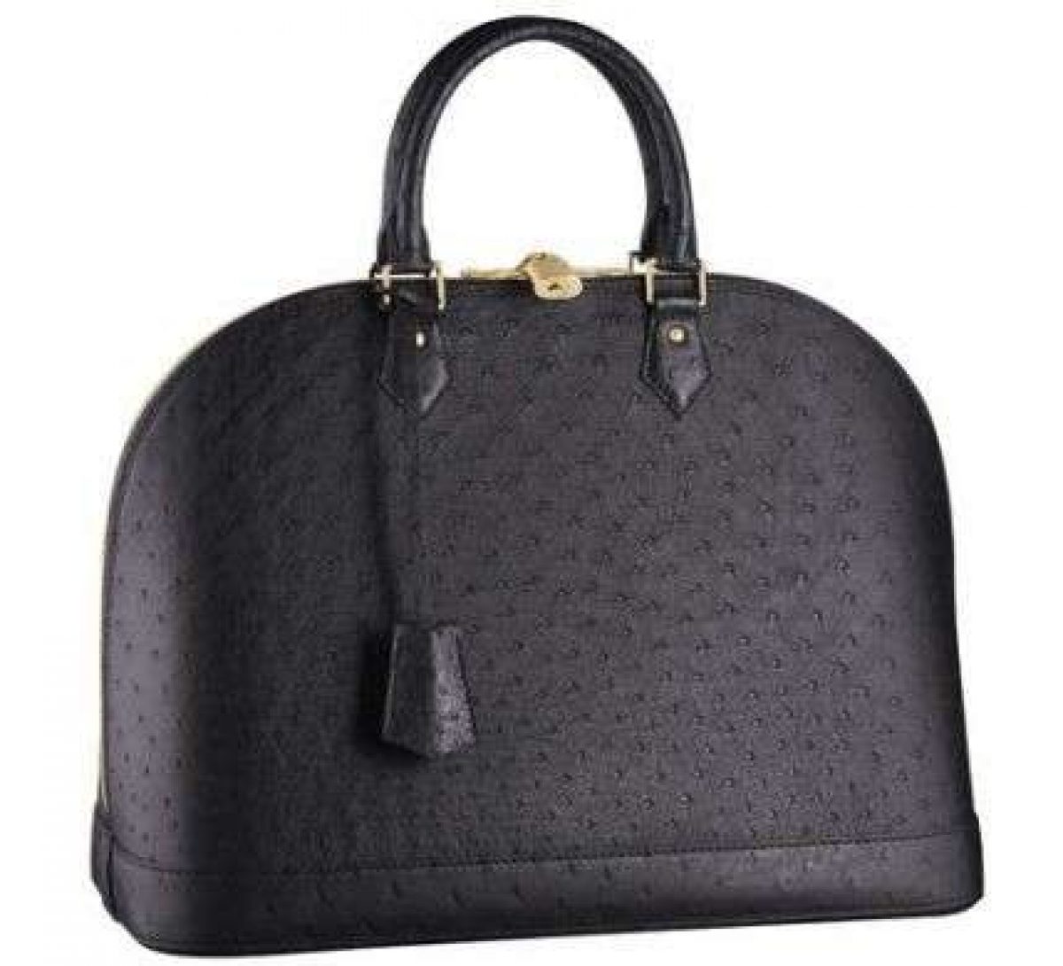 Borse Louis vuitton in Pelle Multicolore - 23173269