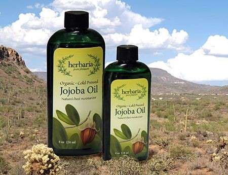 Olio di Jojoba: i benefici per la nostra pelle