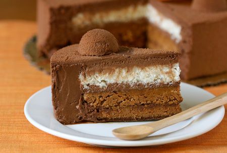 Ricette Estive: torta gelato cioccolato e caffè
